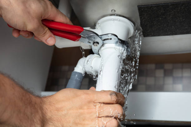 Best Flood damage cleanup  in Baileyton, AL