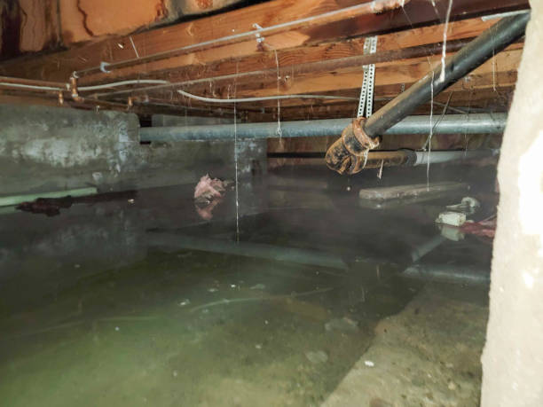 Best Flooded house restoration  in Baileyton, AL