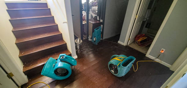 Best Commercial water damage restoration  in Baileyton, AL