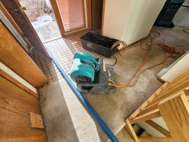 Best Water damage restoration near me  in Baileyton, AL