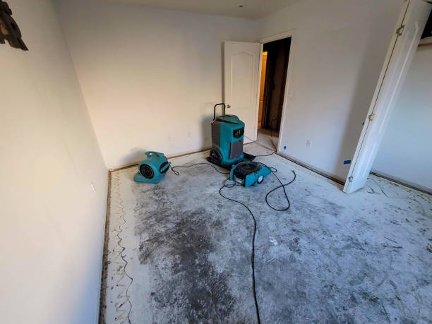 Best Local water damage restoration  in Baileyton, AL