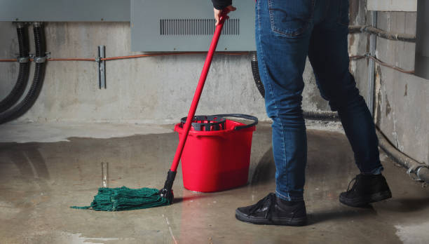 Best Basement water damage restoration  in Baileyton, AL