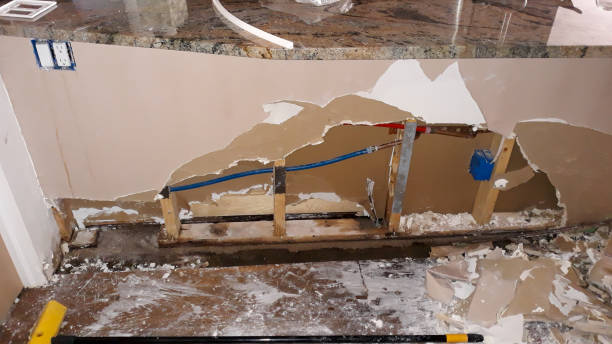 Best Commercial water damage restoration  in Baileyton, AL