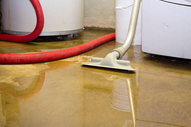 Best Water damage contractors near me  in Baileyton, AL