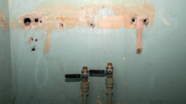 Best Residential water damage restoration  in Baileyton, AL