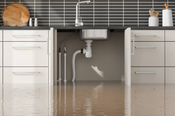 Best Ceiling water damage repair  in Baileyton, AL