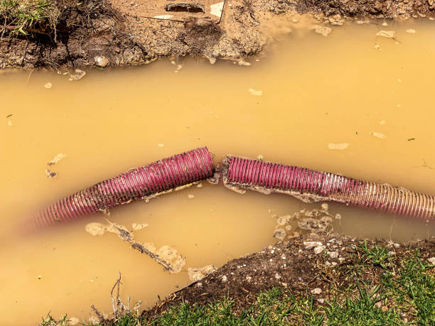  Baileyton, AL Water damage restoration Pros