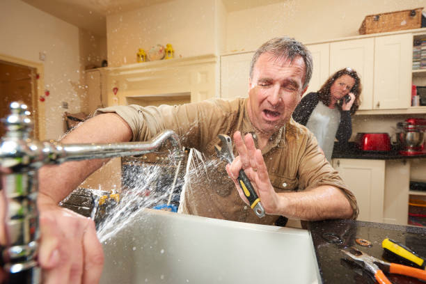 Best Carpet water damage restoration  in Baileyton, AL